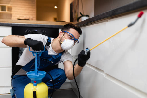 Best Commercial Pest Control Services  in Walbridge, OH