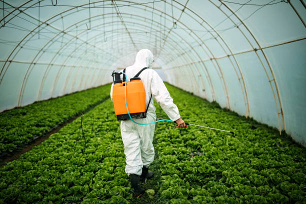 Best Local Pest Control Services  in Walbridge, OH