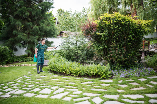 Best Pest Prevention Services  in Walbridge, OH
