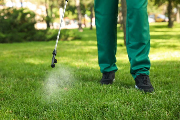 Best Affordable Pest Control Services  in Walbridge, OH