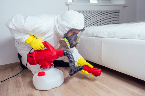 Best Affordable Pest Control Services  in Walbridge, OH