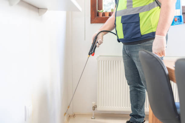 Best Best Pest Control Companies  in Walbridge, OH