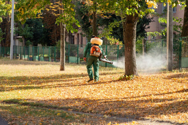Flea Control Services in Walbridge, OH