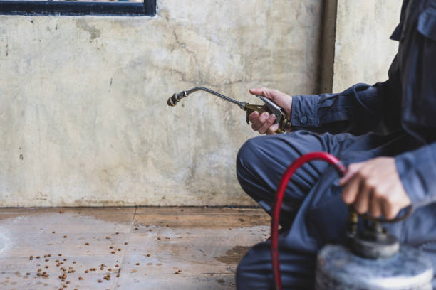 Best Exterminator Services  in Walbridge, OH